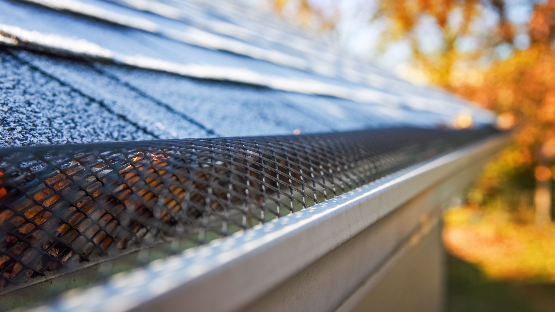 Close-up of a gutter guard with autumn leaves and roof shingles in background
