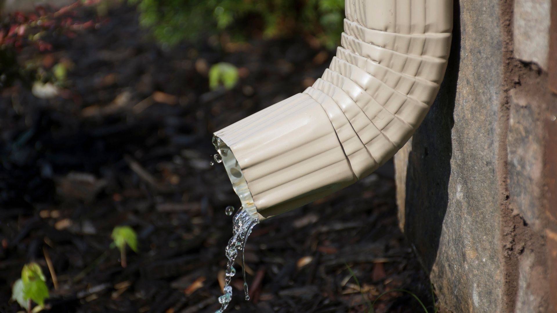 White downspout dripping water onto dark ground with leaves